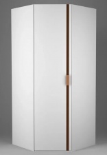 Шкаф для одежды угловой "Алия" ММ-349-01/08Б