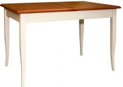 Стол обеденный "Альт" П490.24