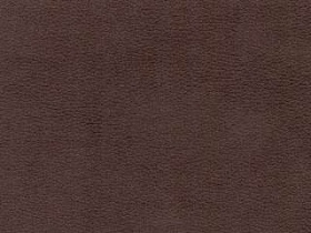 Трехместный  диван-кровать "Манчестер 1" акция