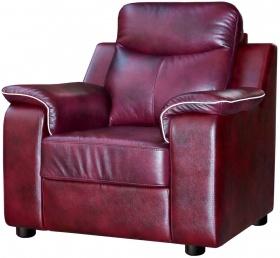 Кресло Люксор (комбинированное) Кресло Люксор (комбинированное)